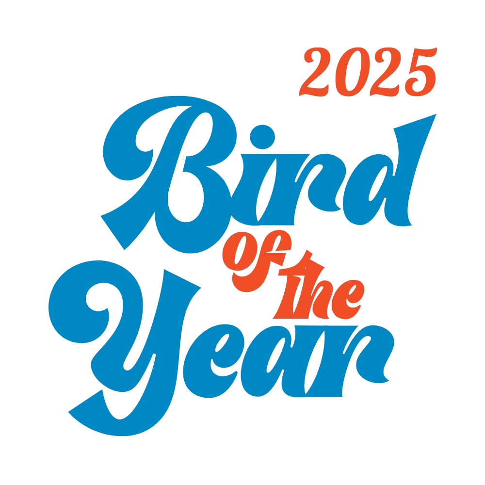 Bird of the Year ‹ Forest & Bird